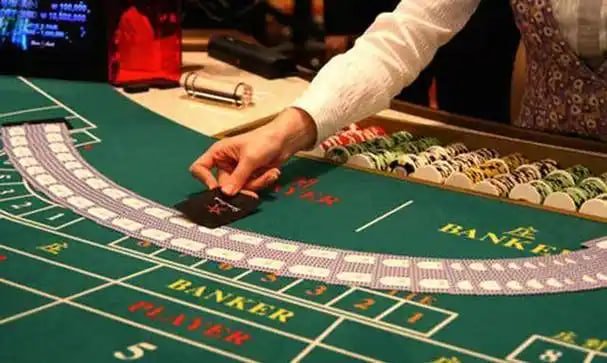 bet835